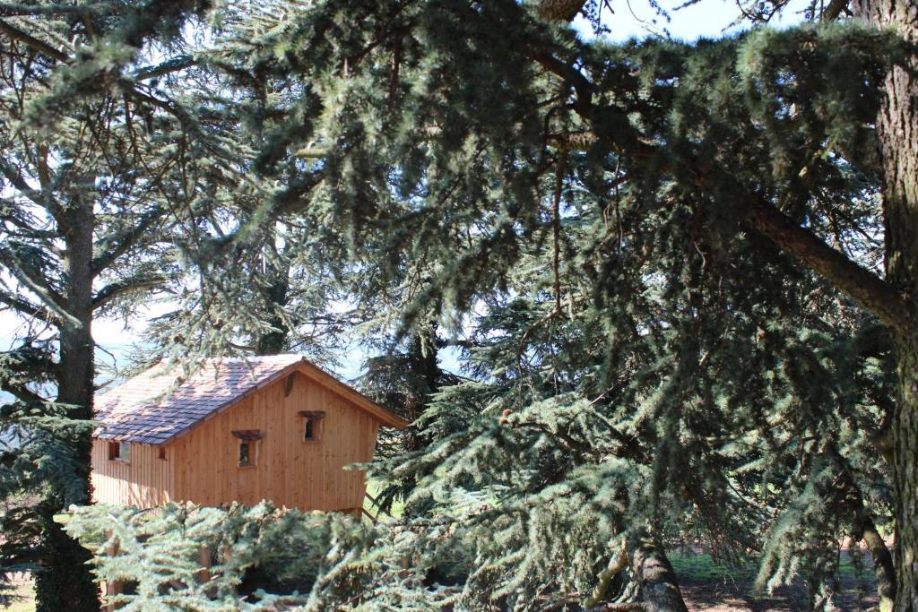 Domaine Des Grands Cedres Cordelle Quarto foto