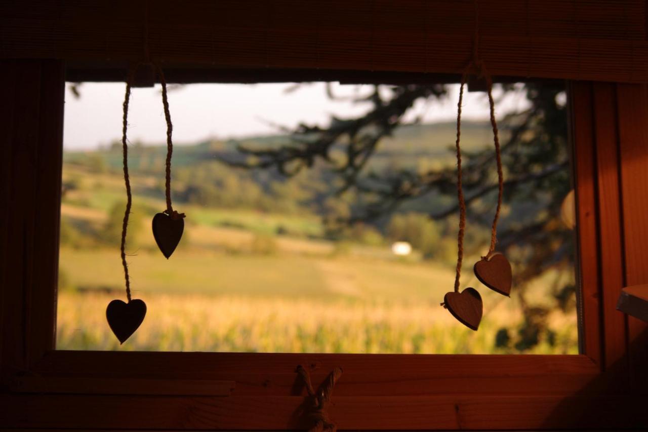 Domaine Des Grands Cedres Cordelle Quarto foto