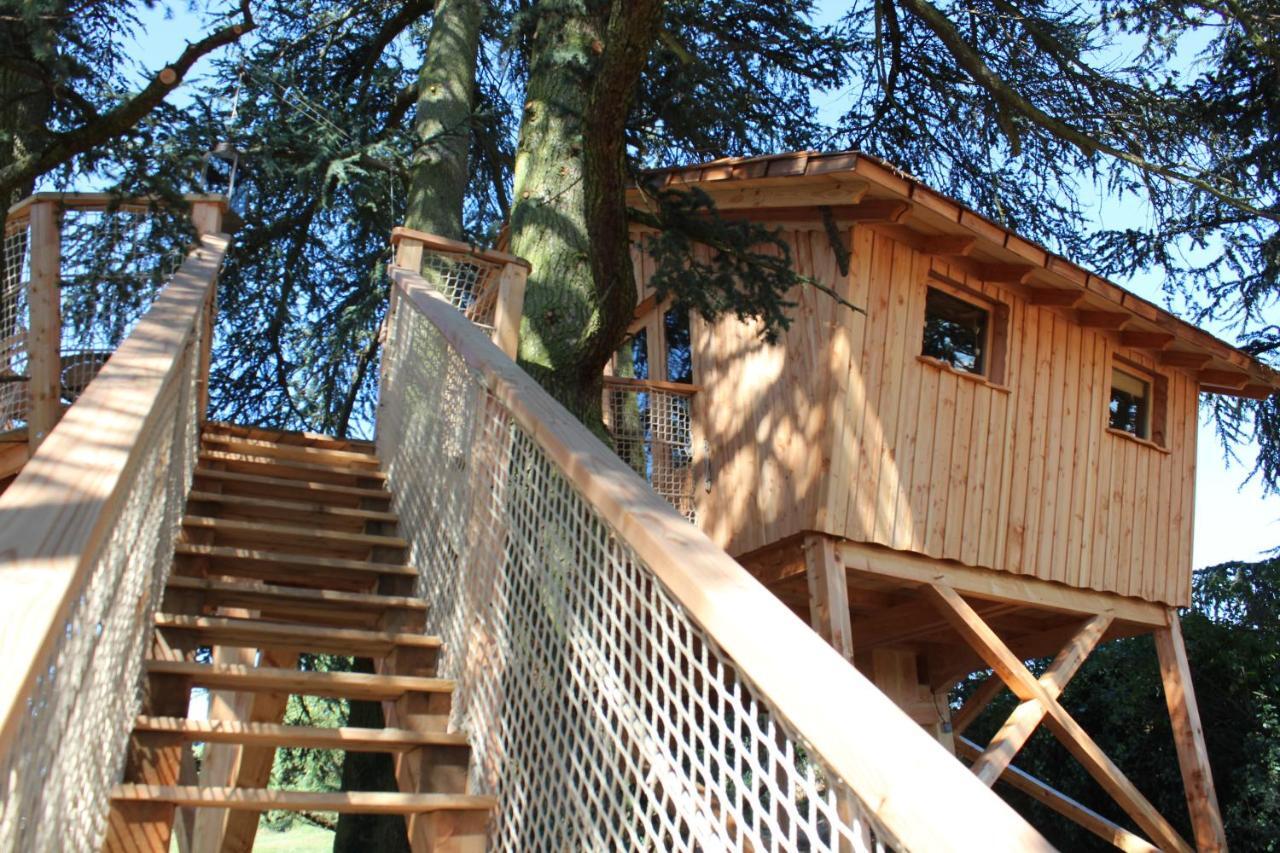 Domaine Des Grands Cedres Cordelle Quarto foto
