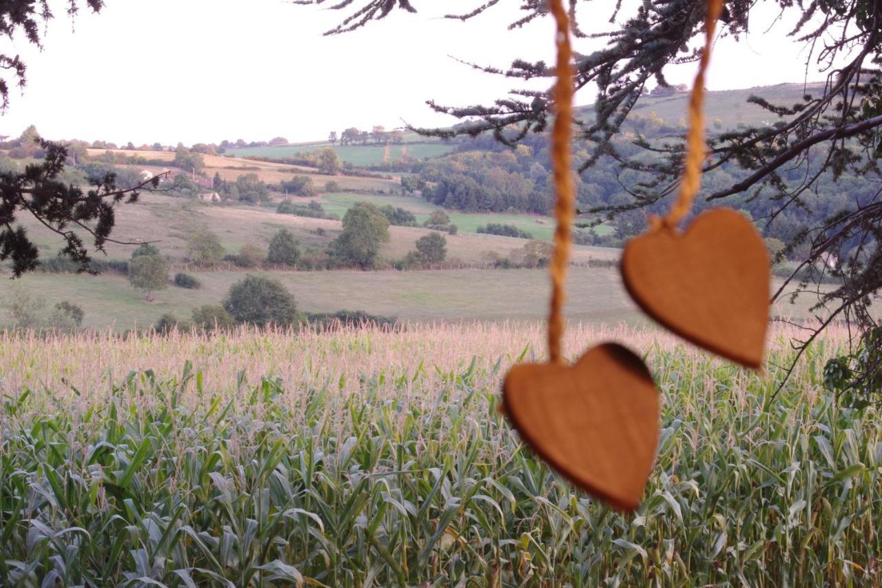 Domaine Des Grands Cedres Cordelle Quarto foto